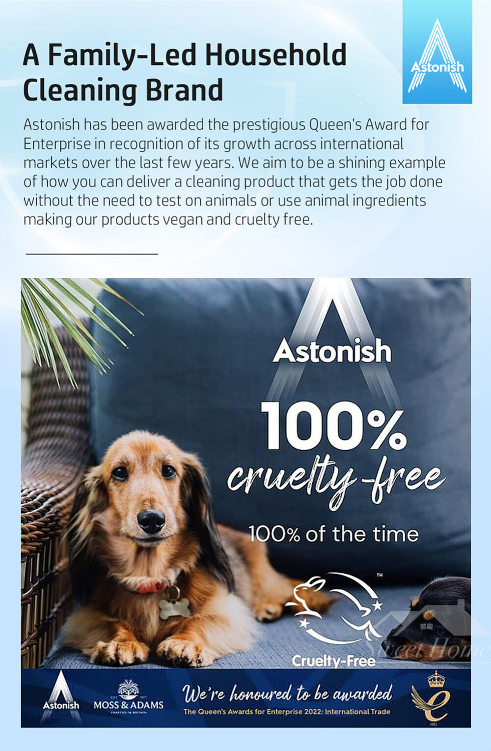 Astonish C1410 Oxy Active Non Bio Stain Remover-8